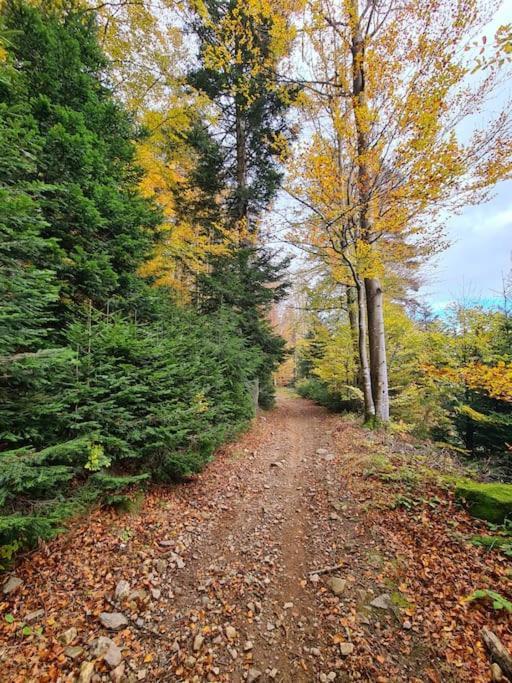 Gite De 70M² Avec Vue Sur Le Massif Du Pilat Clonas-sur-Vareze Exterior foto