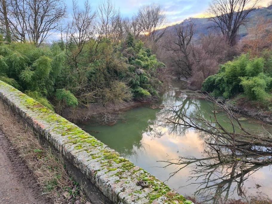 Gite De 70M² Avec Vue Sur Le Massif Du Pilat Clonas-sur-Vareze Exterior foto